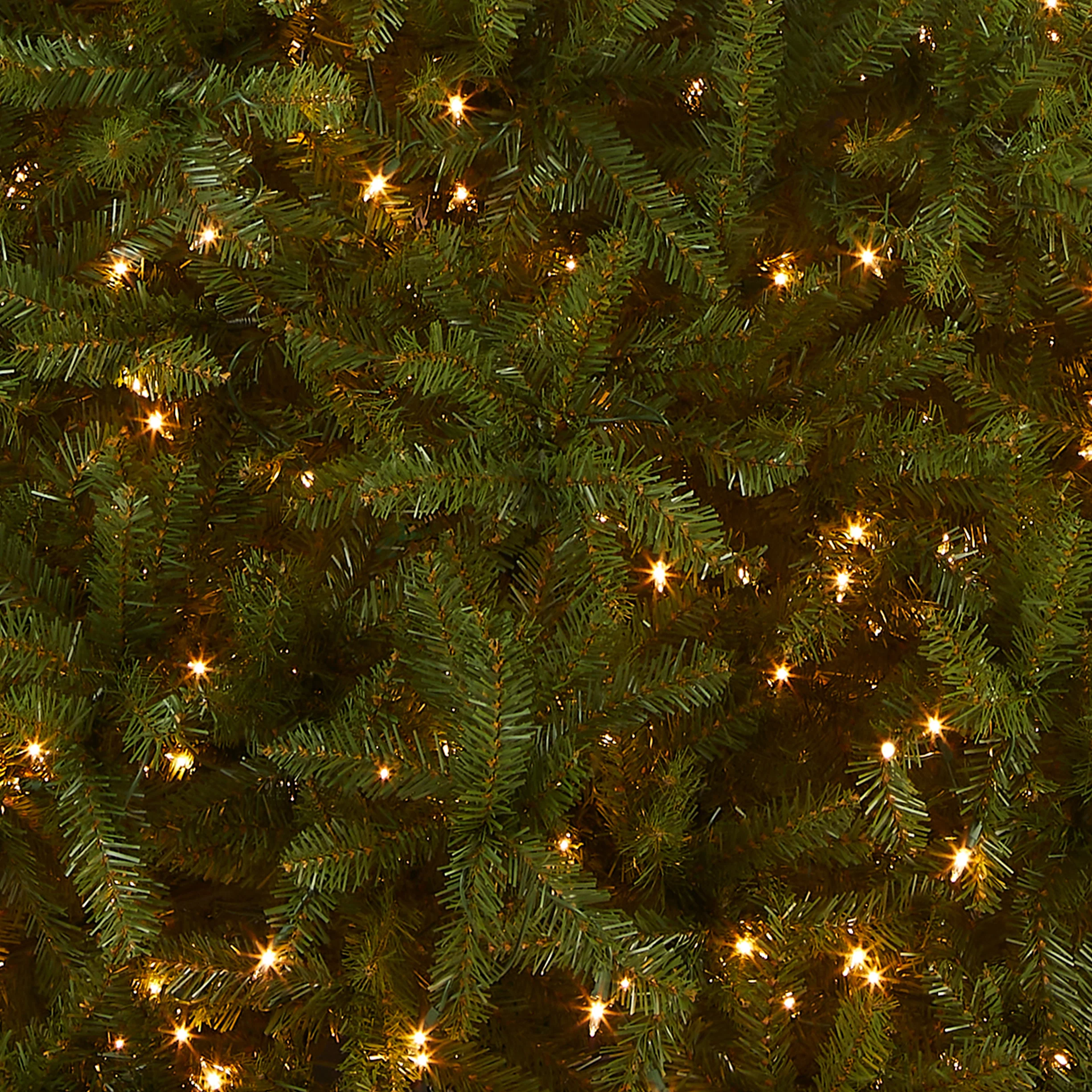 10 ft. Pre-Lit Dunhill Fir Tree with Clear Lights, Plug-In - Image 3