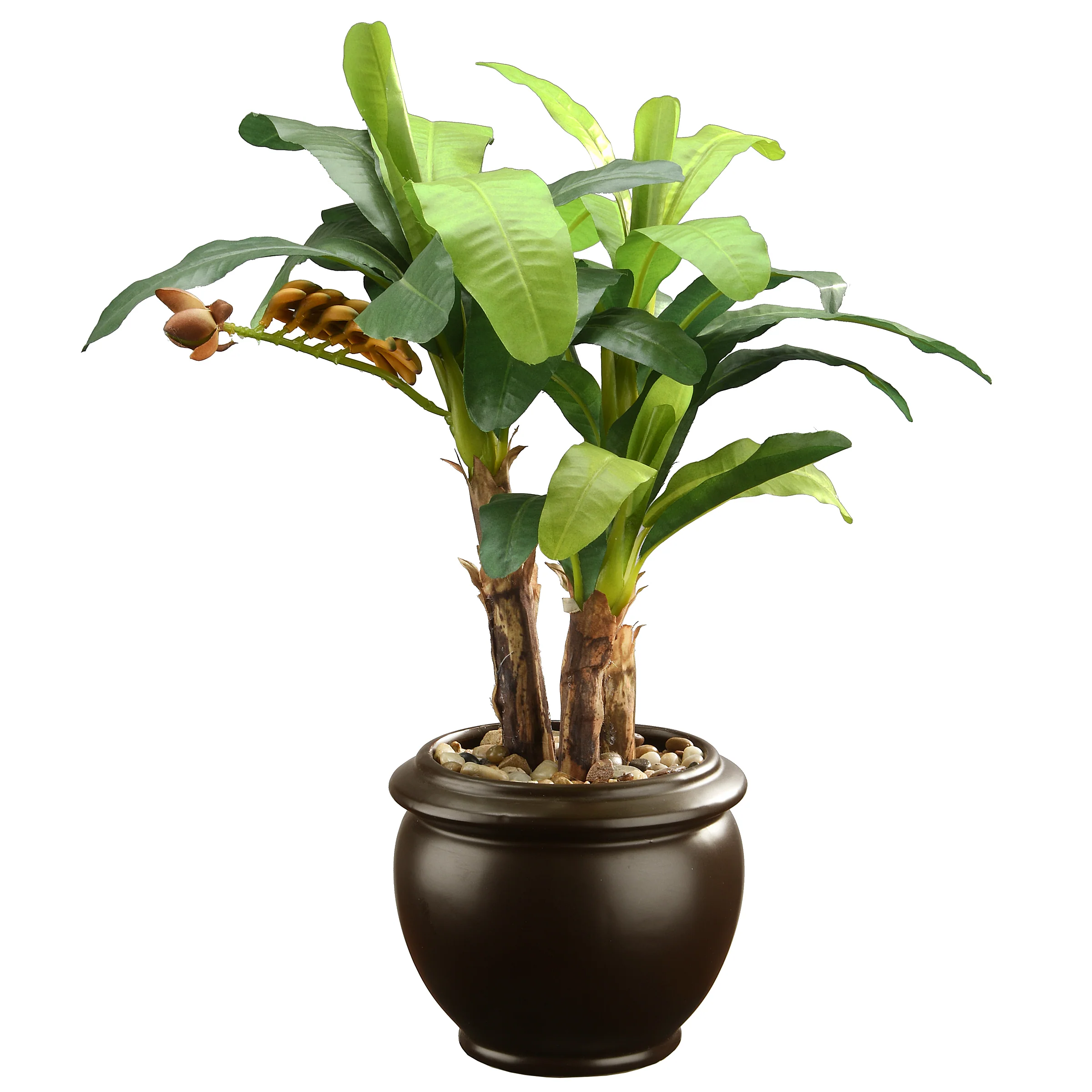 18 in. Banana Plant