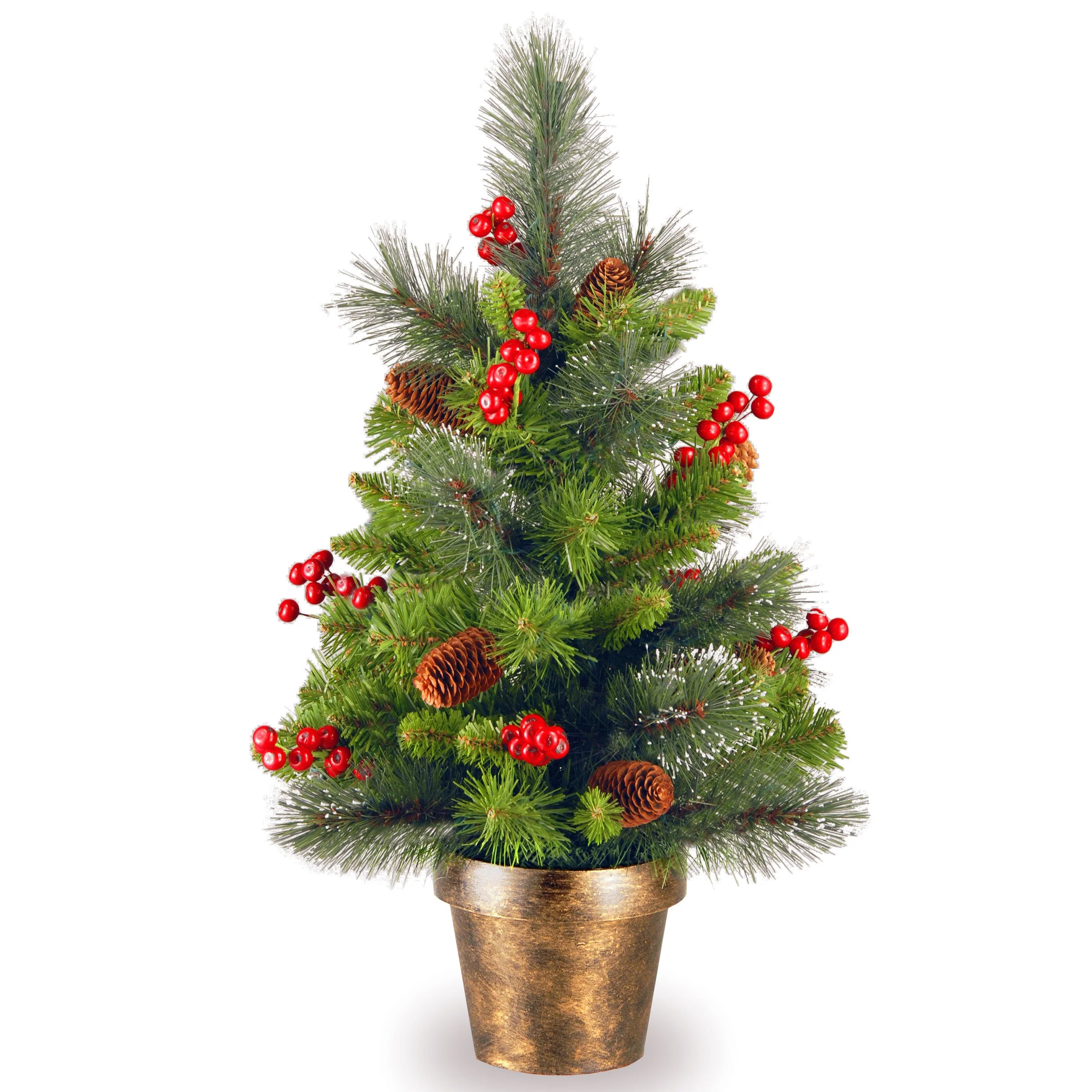 2 ft. Crestwood Spruce Tree - Image 3
