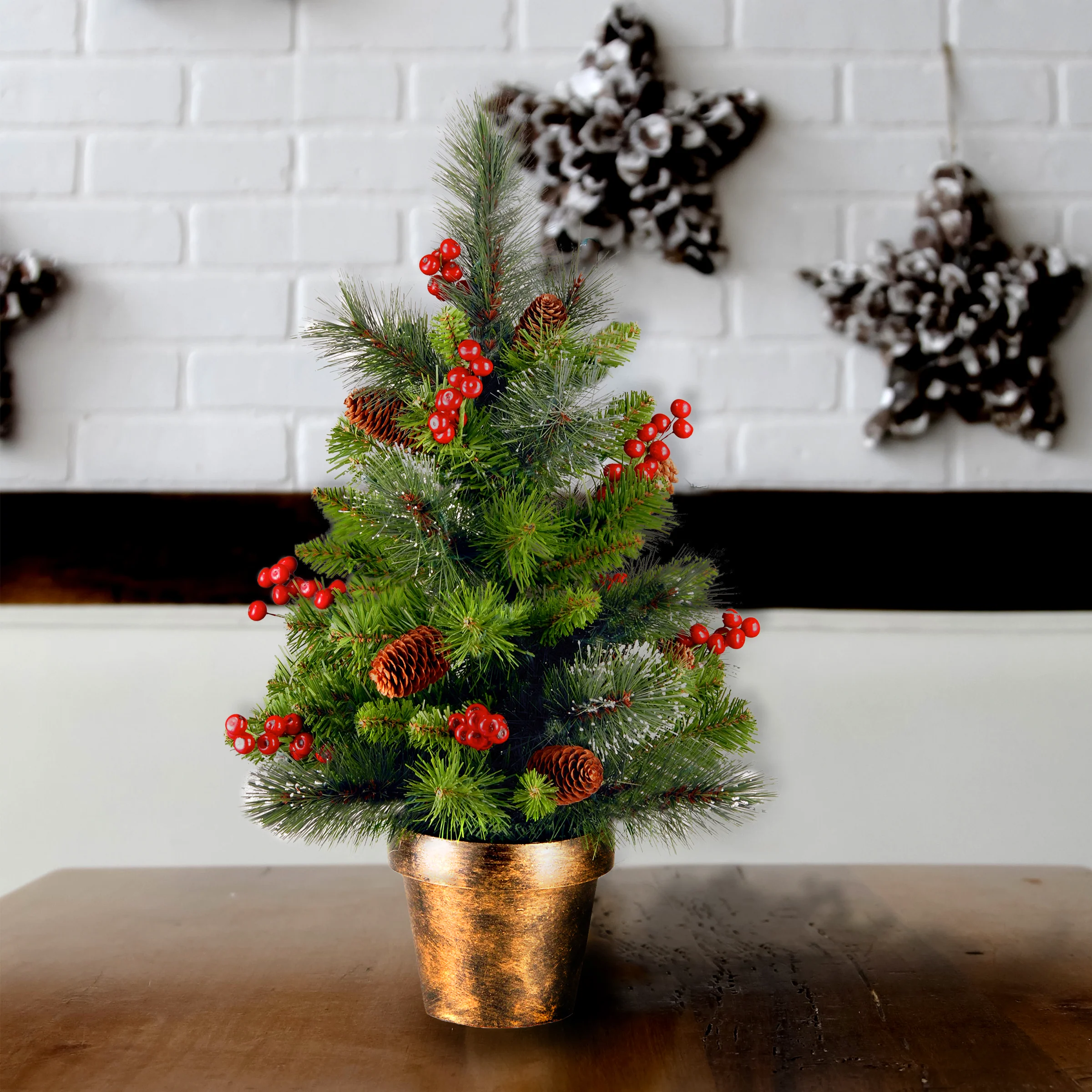 2 ft. Crestwood Spruce Tree - Image 6