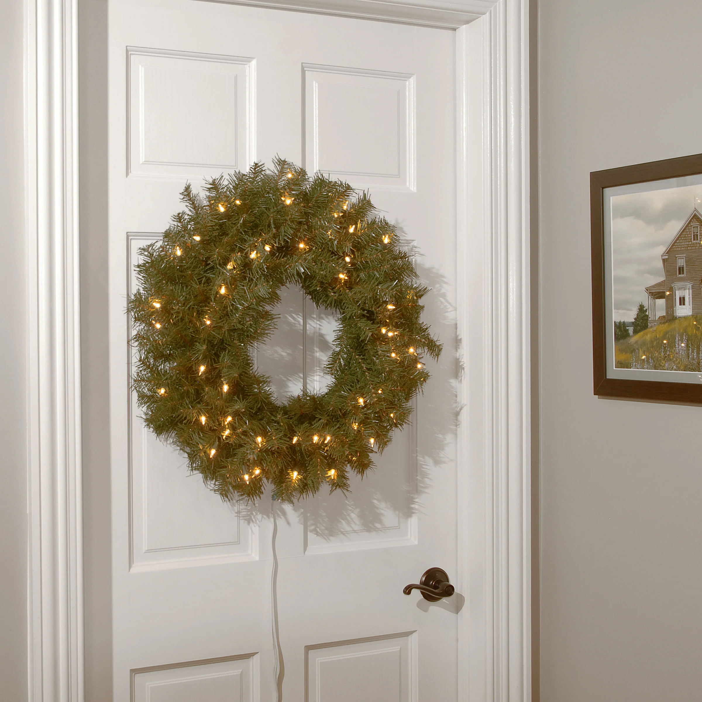 20 in. Pre-Lit Norwood Fir Wreath with Clear Lights - Image 2