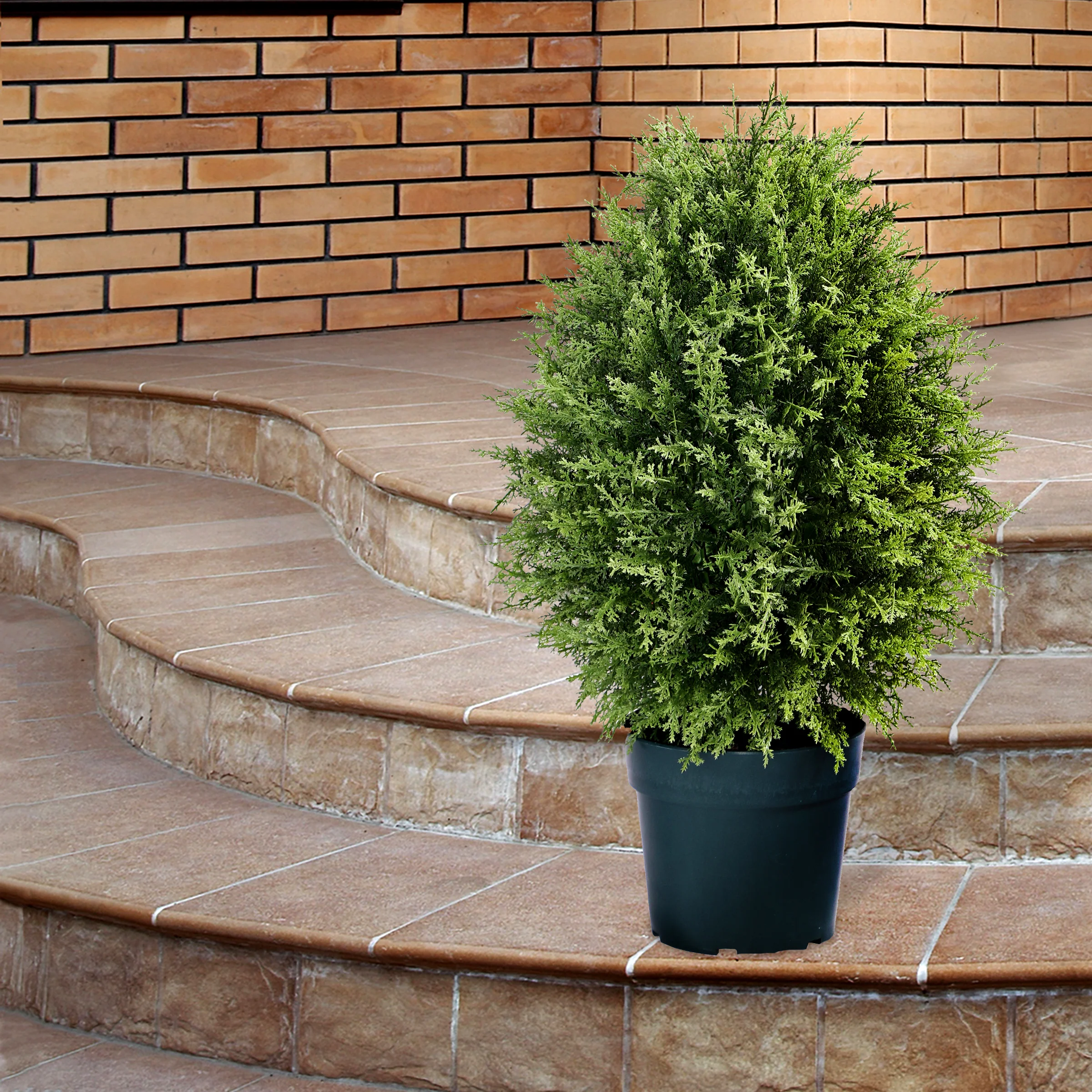 32" Cypress Tree - Image 2