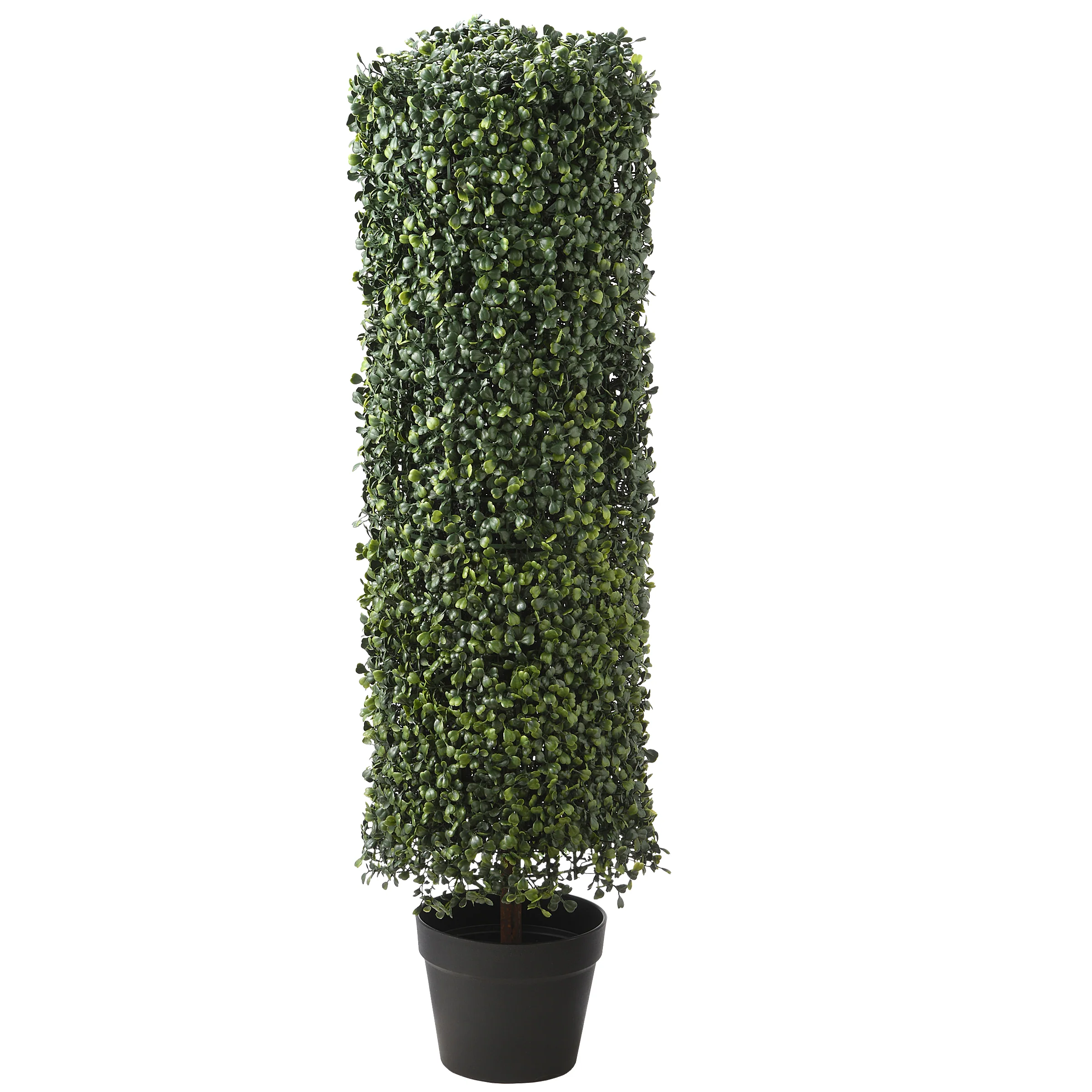 36 in. Boxwood Column Topiary