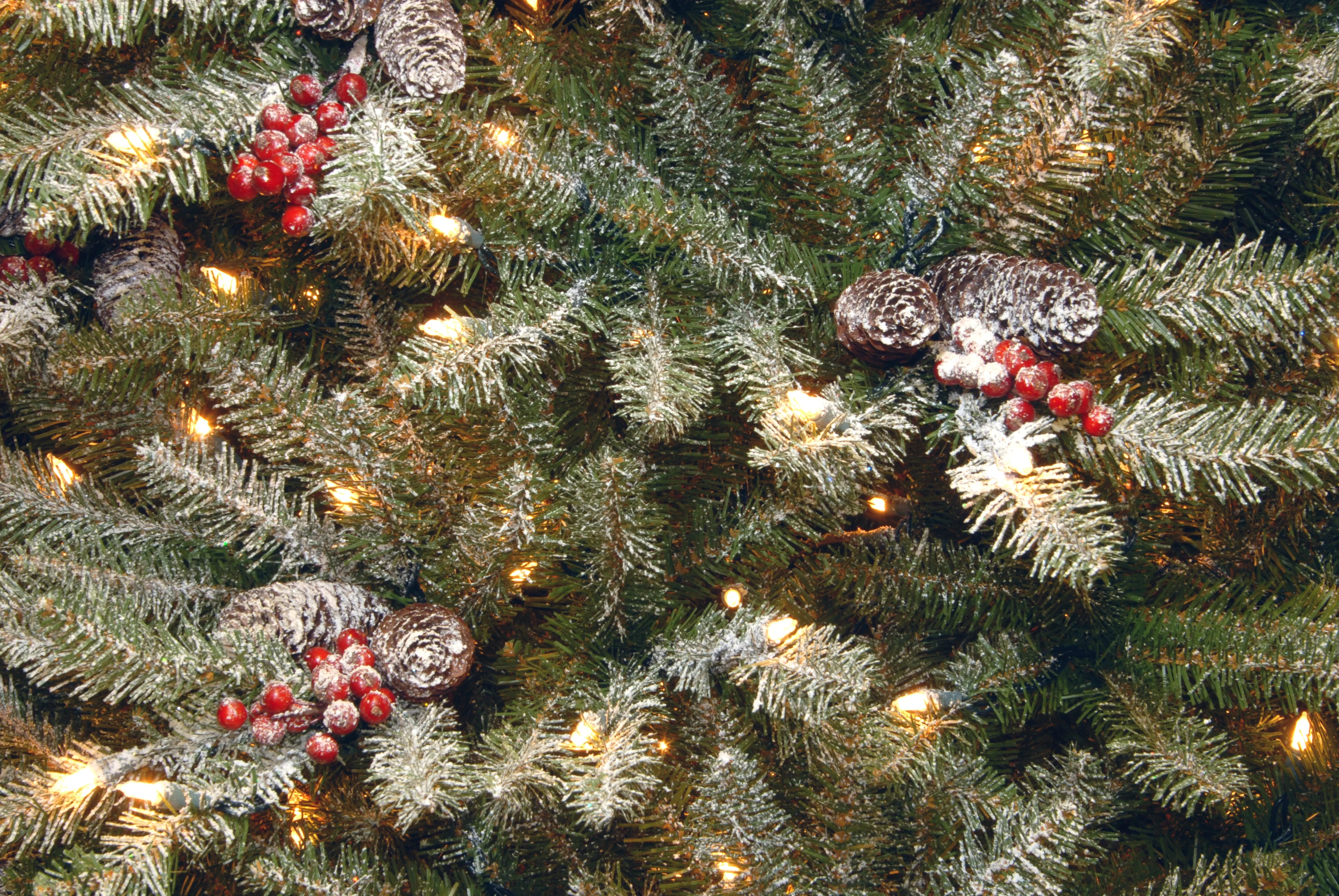 4.5 ft. Pre-Lit Dunhill Fir Frosted Tree with Clear Lights, Plug-In - Image 2