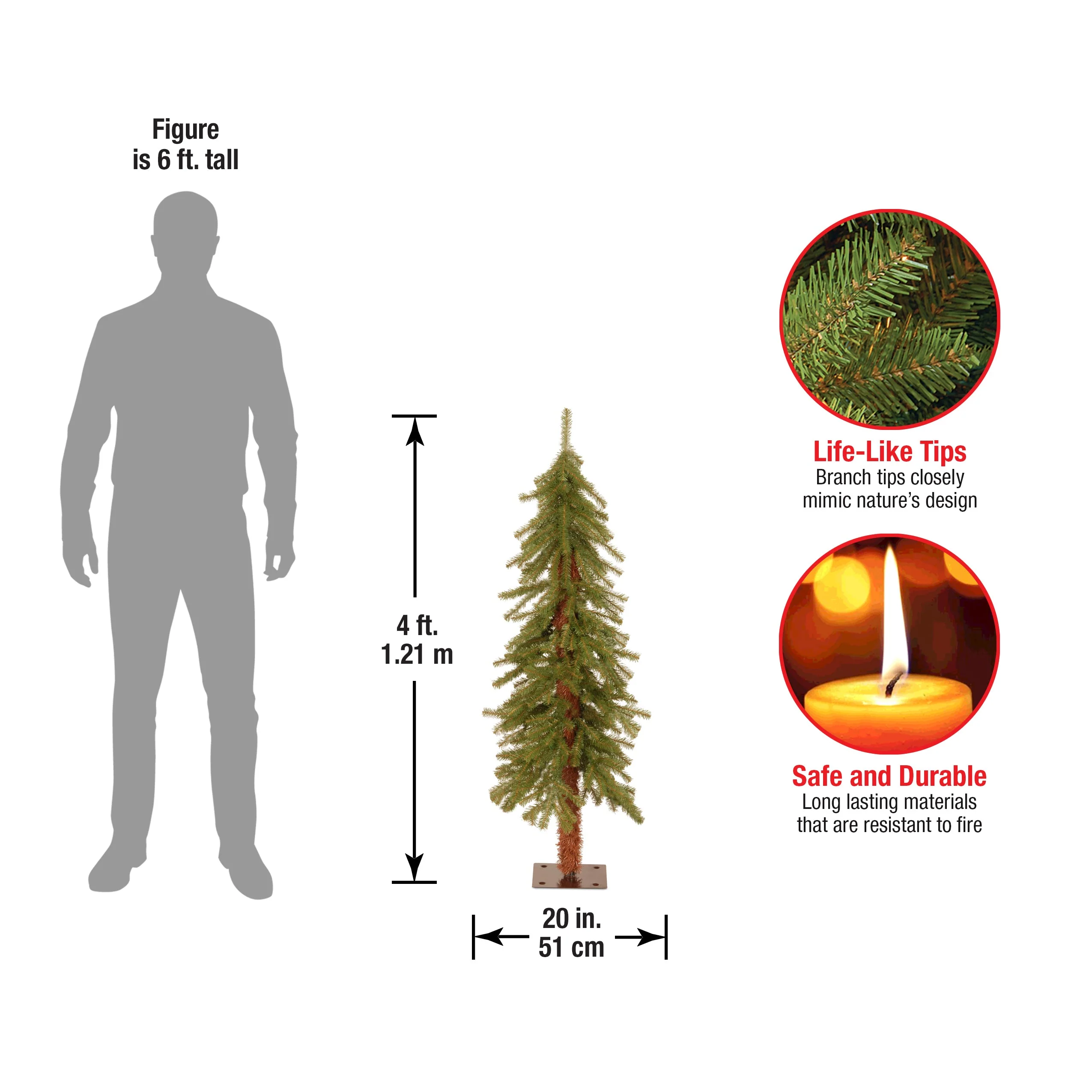 4 ft. Hickory Cedar Tree - Image 7