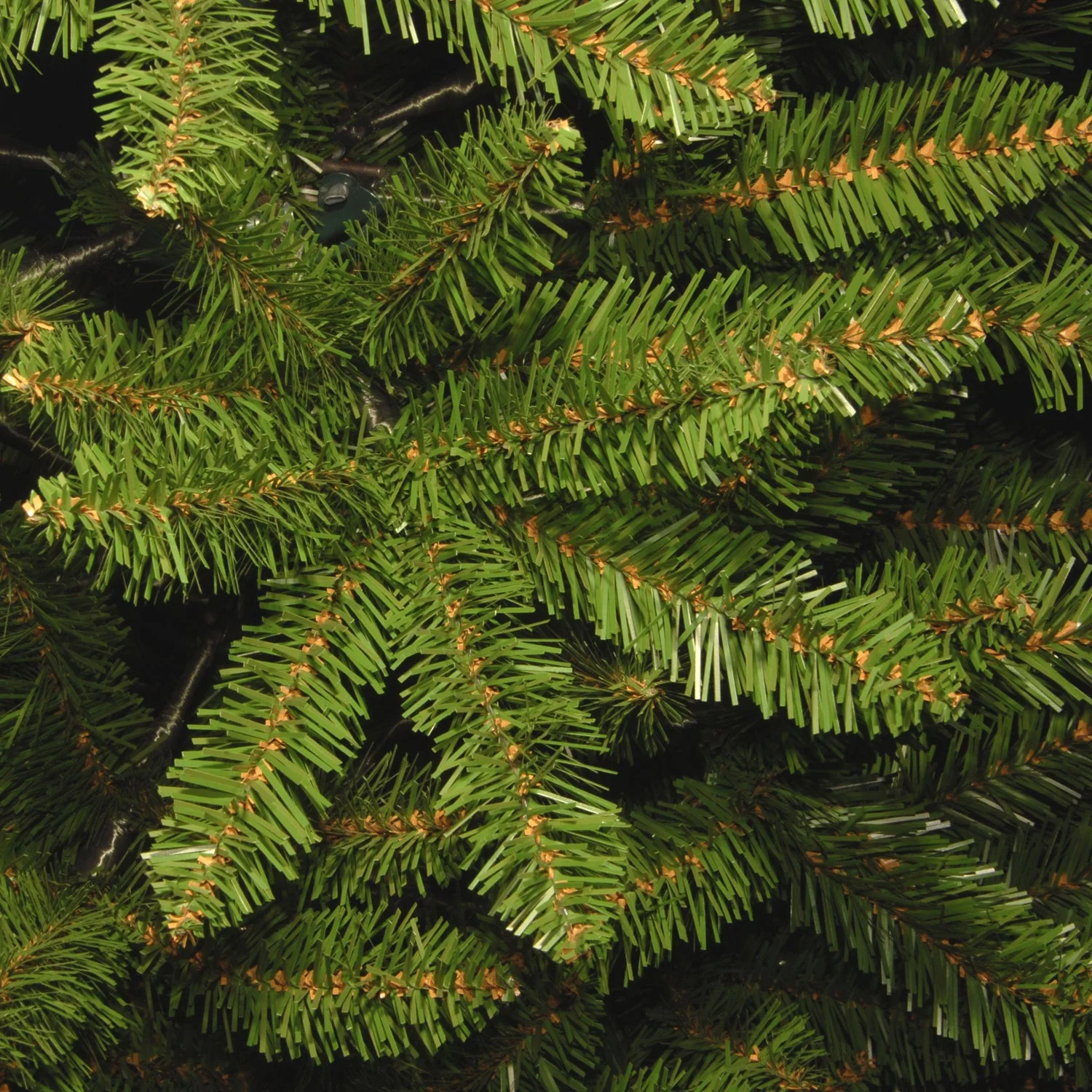 4 ft. Kingswood Fir Pencil Tree - Image 3