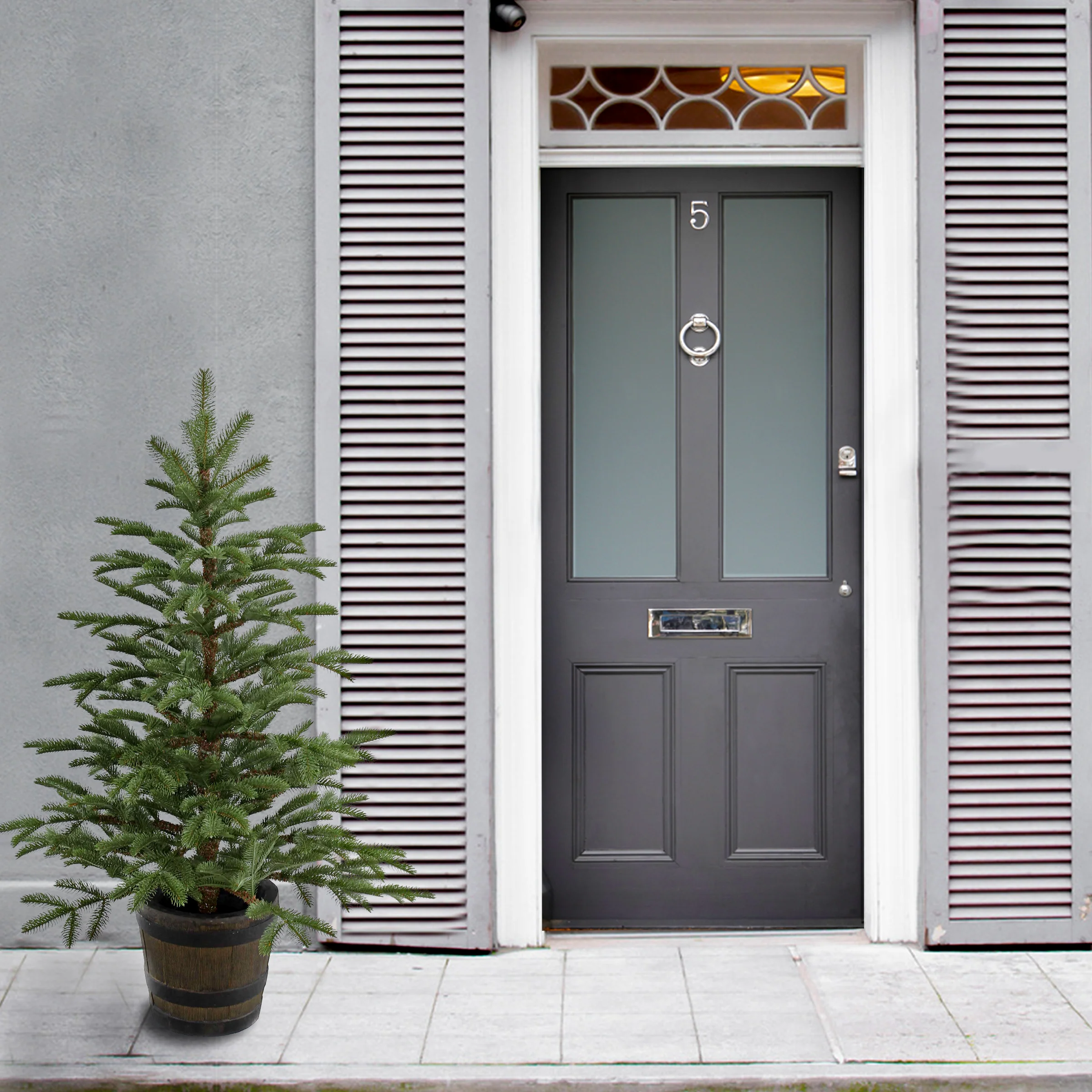 4 ft. Norwegian Spruce Tree - Image 2