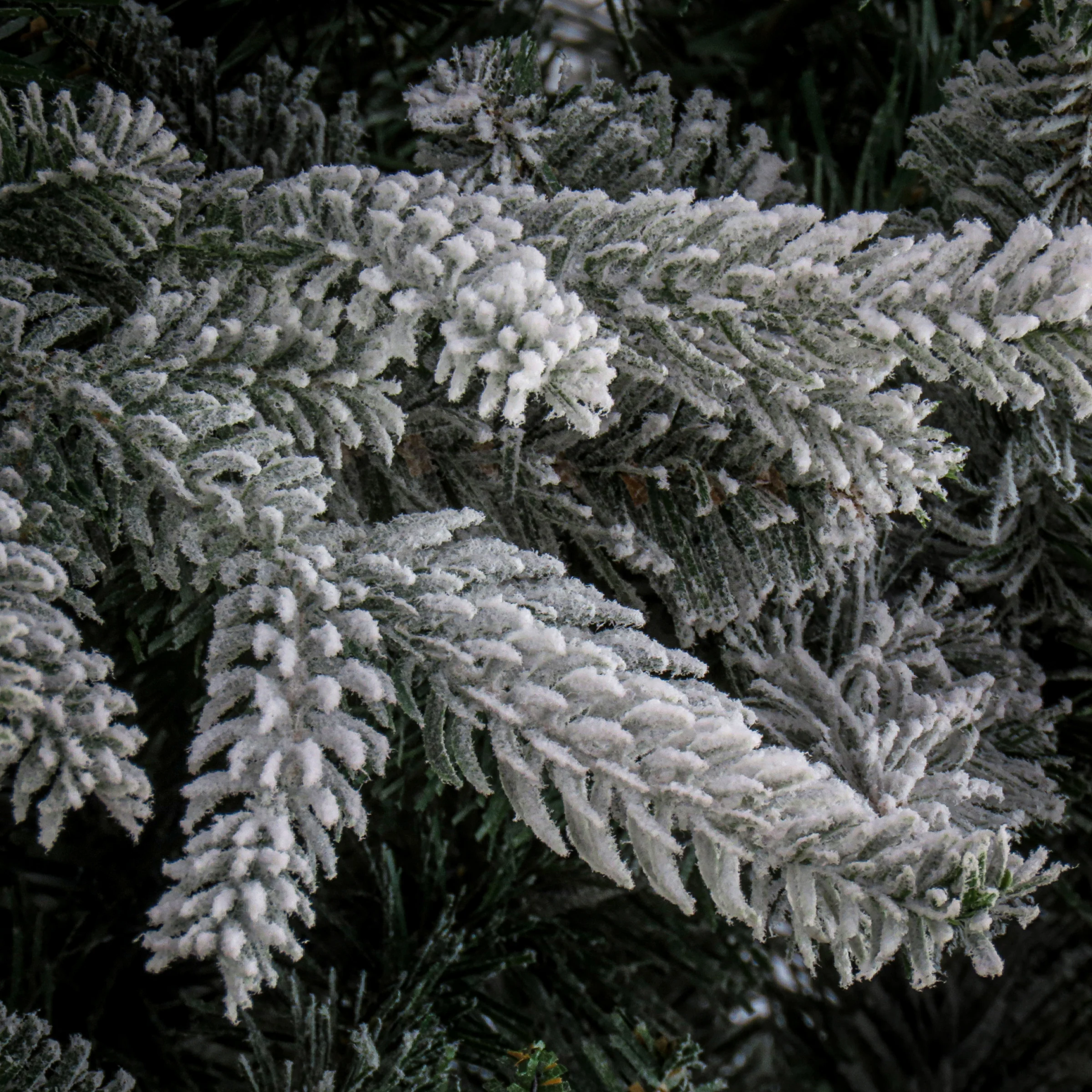 6.5 ft. Holliston Tree - Image 3