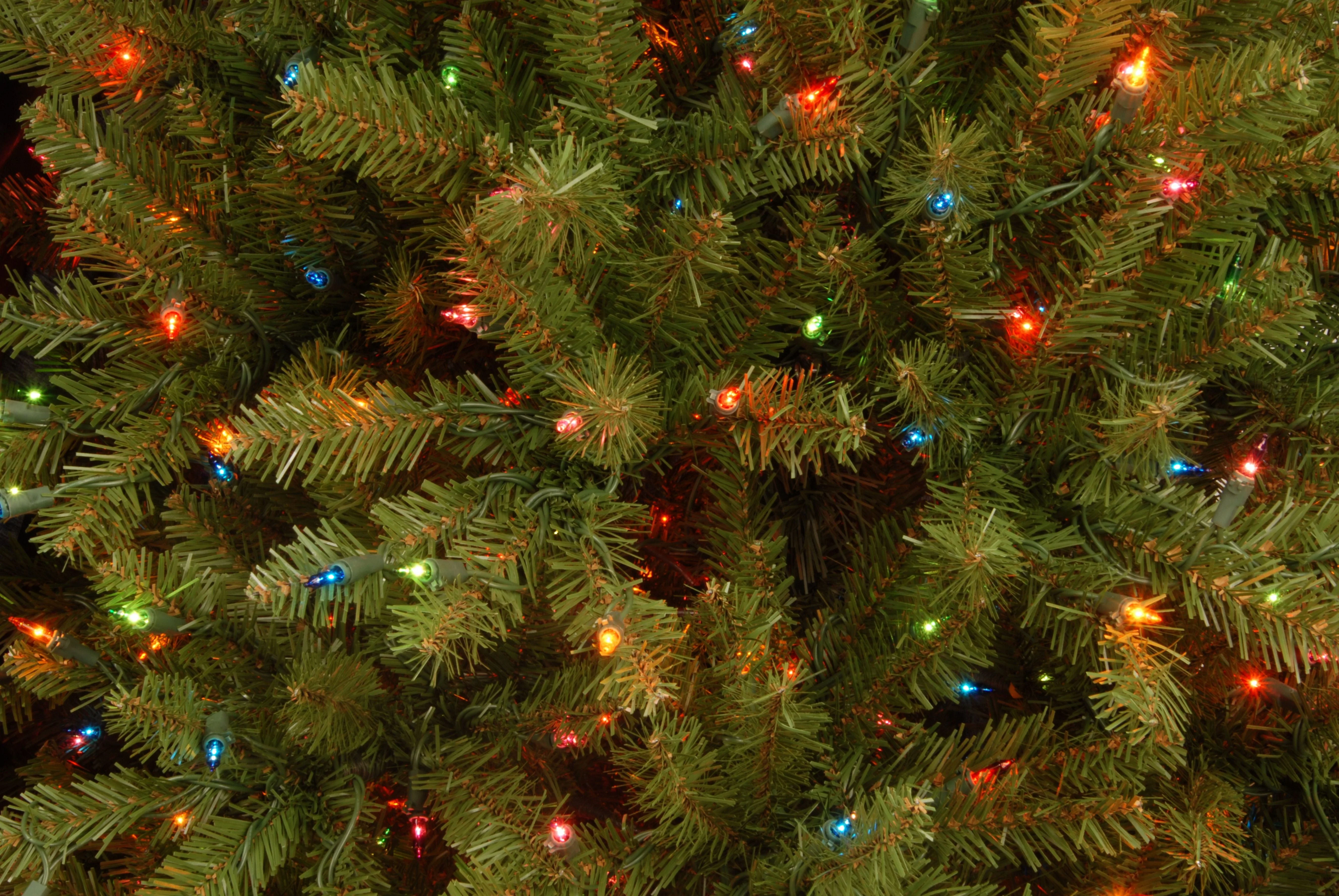 7.5 ft. Pre-Lit Dunhill Fir Tree with Multicolor Lights, Plug-In - Image 12