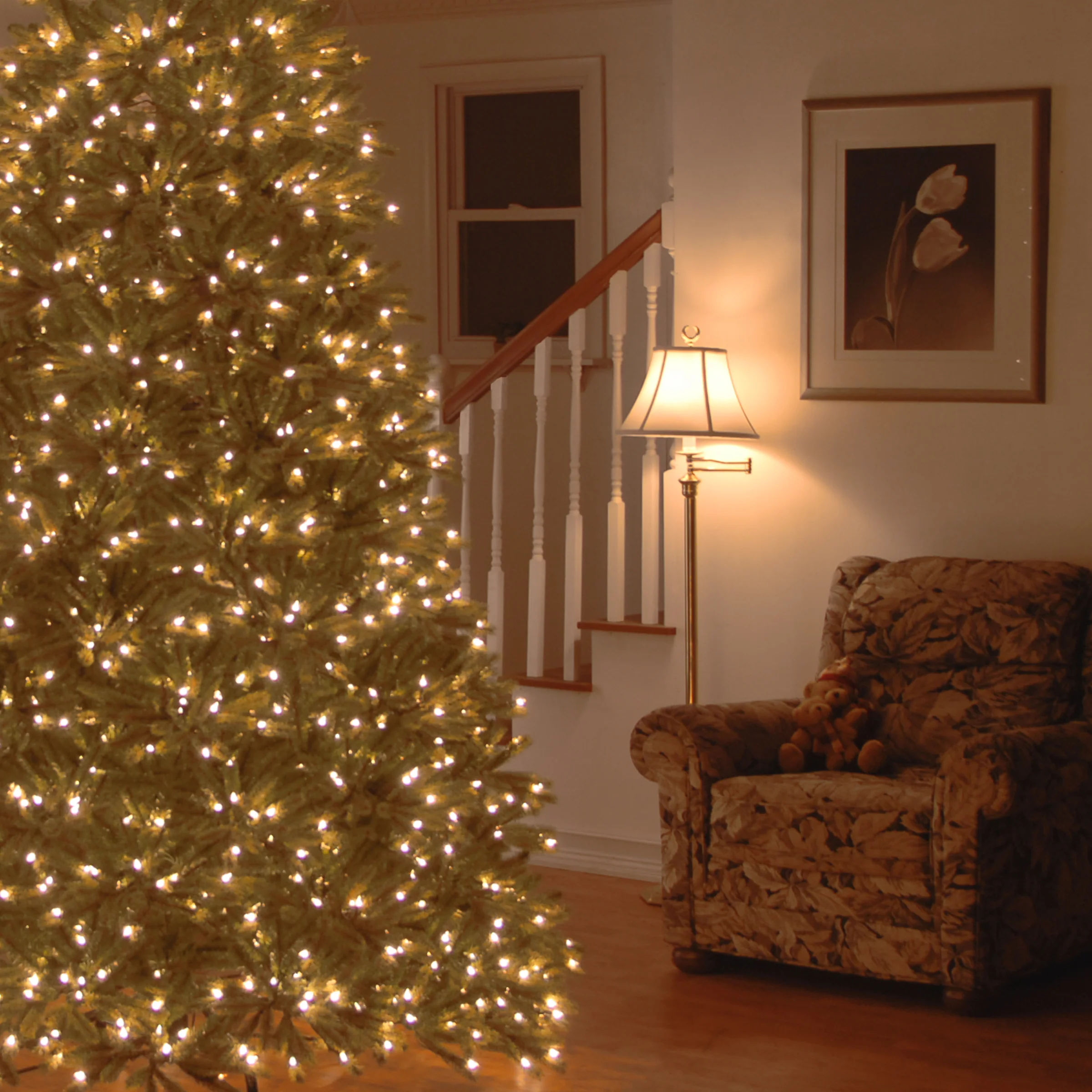 7.5 ft. Pre-Lit Jersey Fraser Fir Medium Tree with PowerConnect Dual Color LED Lights - Image 2