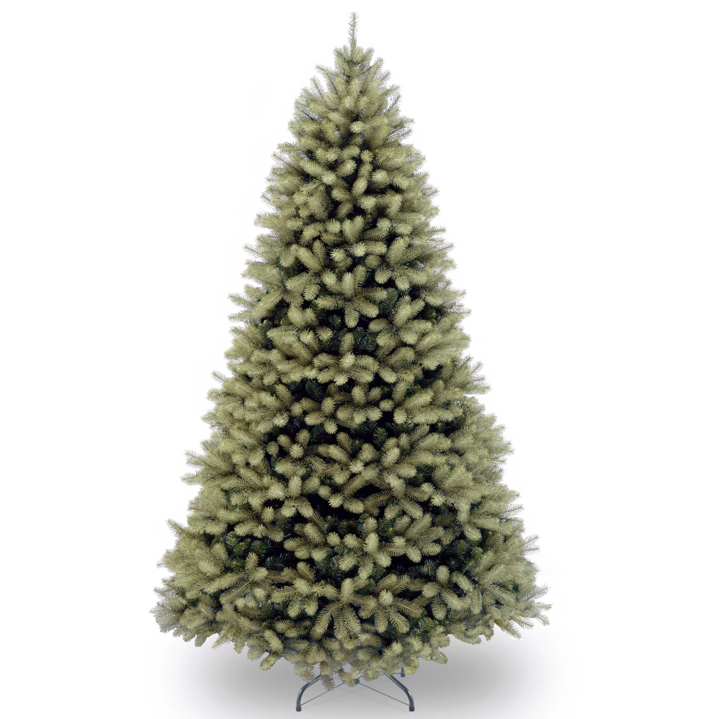 Downswept Douglas Fir Trees - Image 13