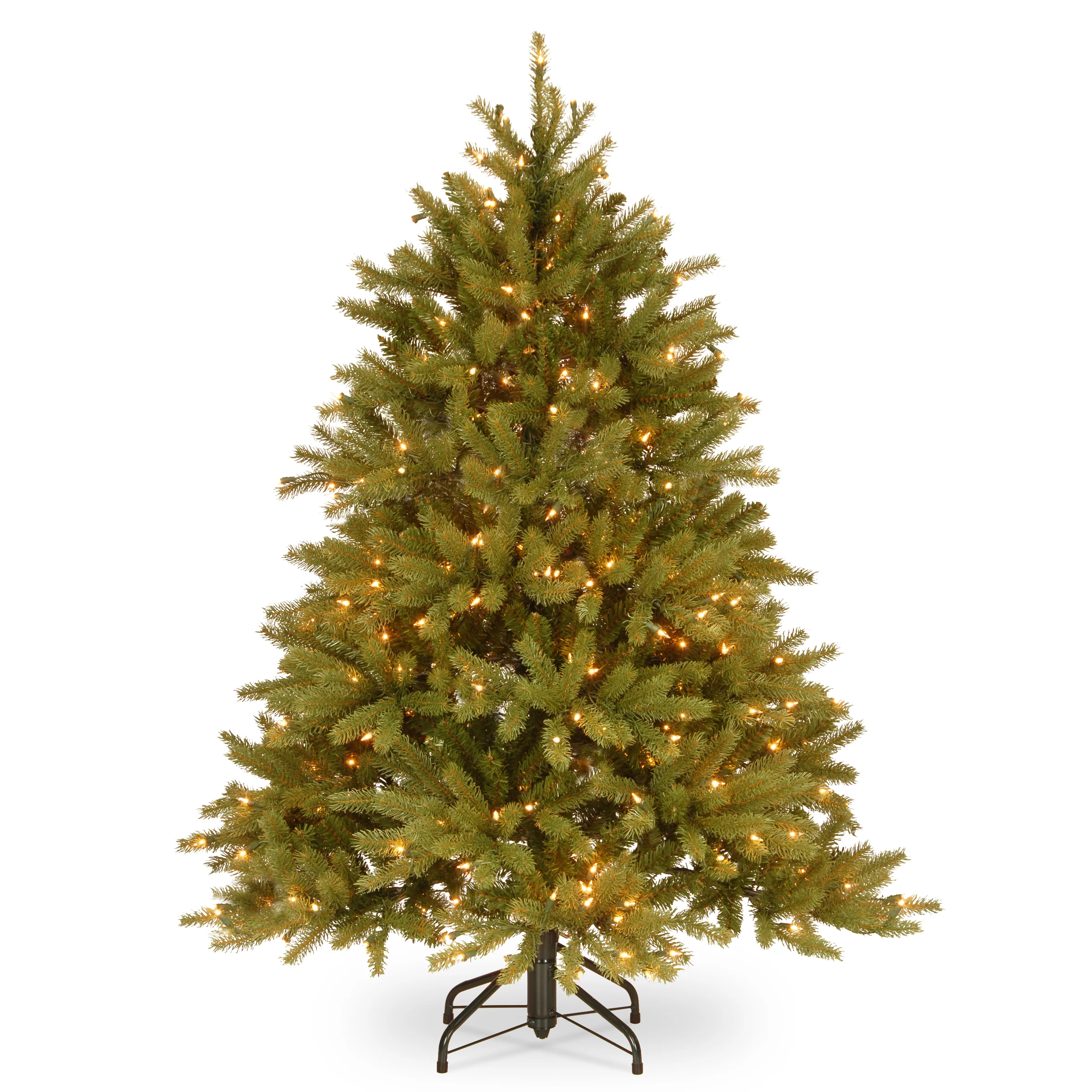Jersey Fraser Fir Trees