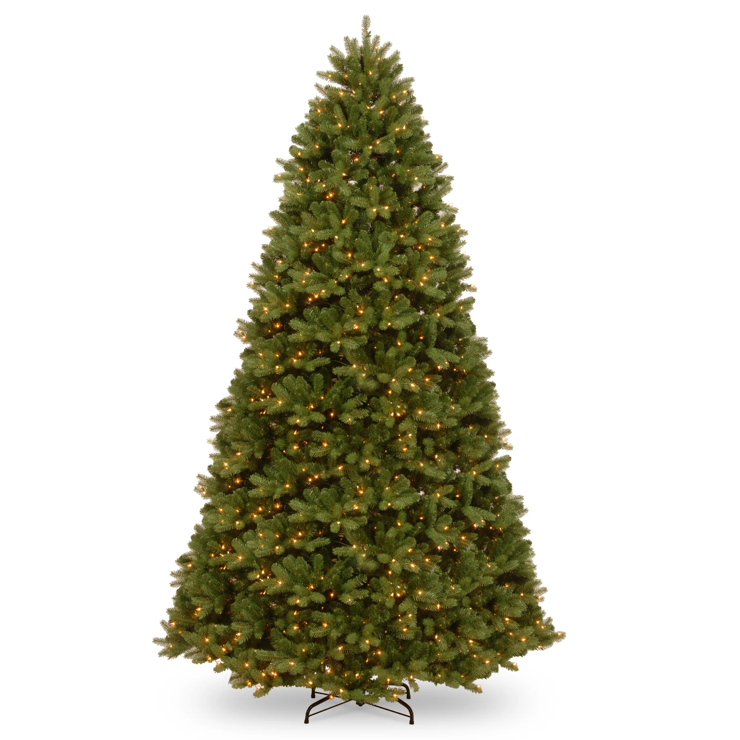 Newberry Spurce Trees - Image 7