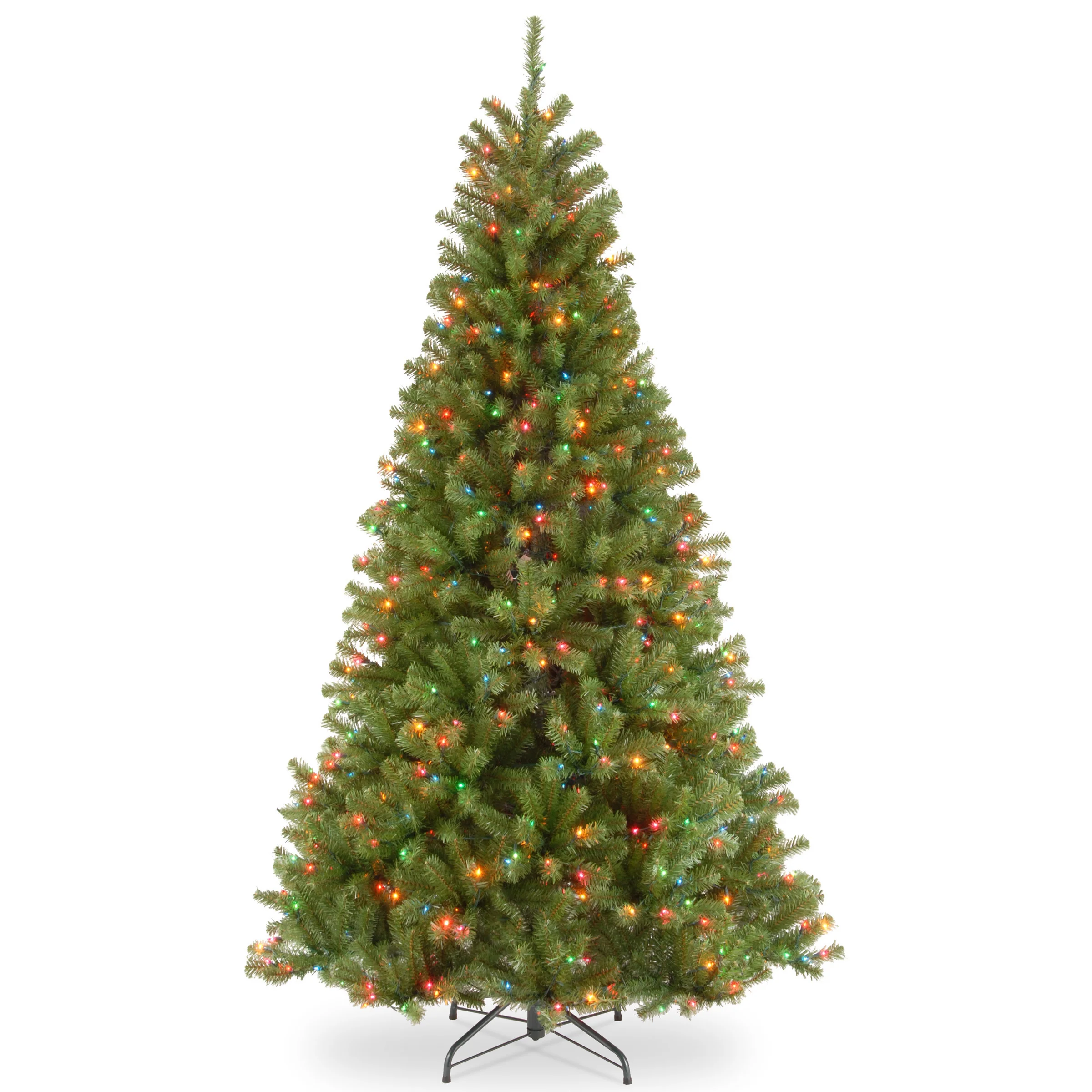 North Valley Spruce Trees - Image 12