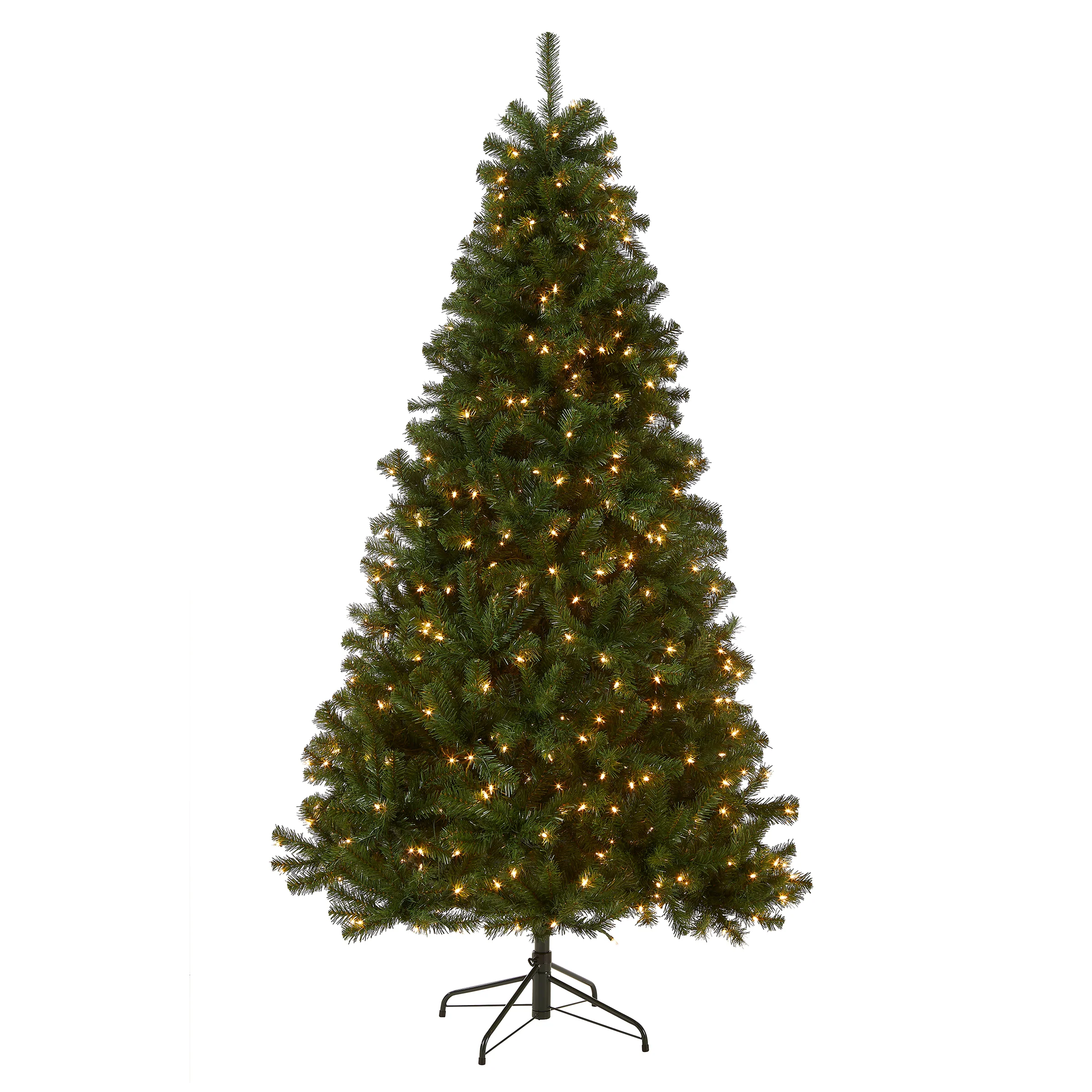 North Valley Spruce Trees - Image 6