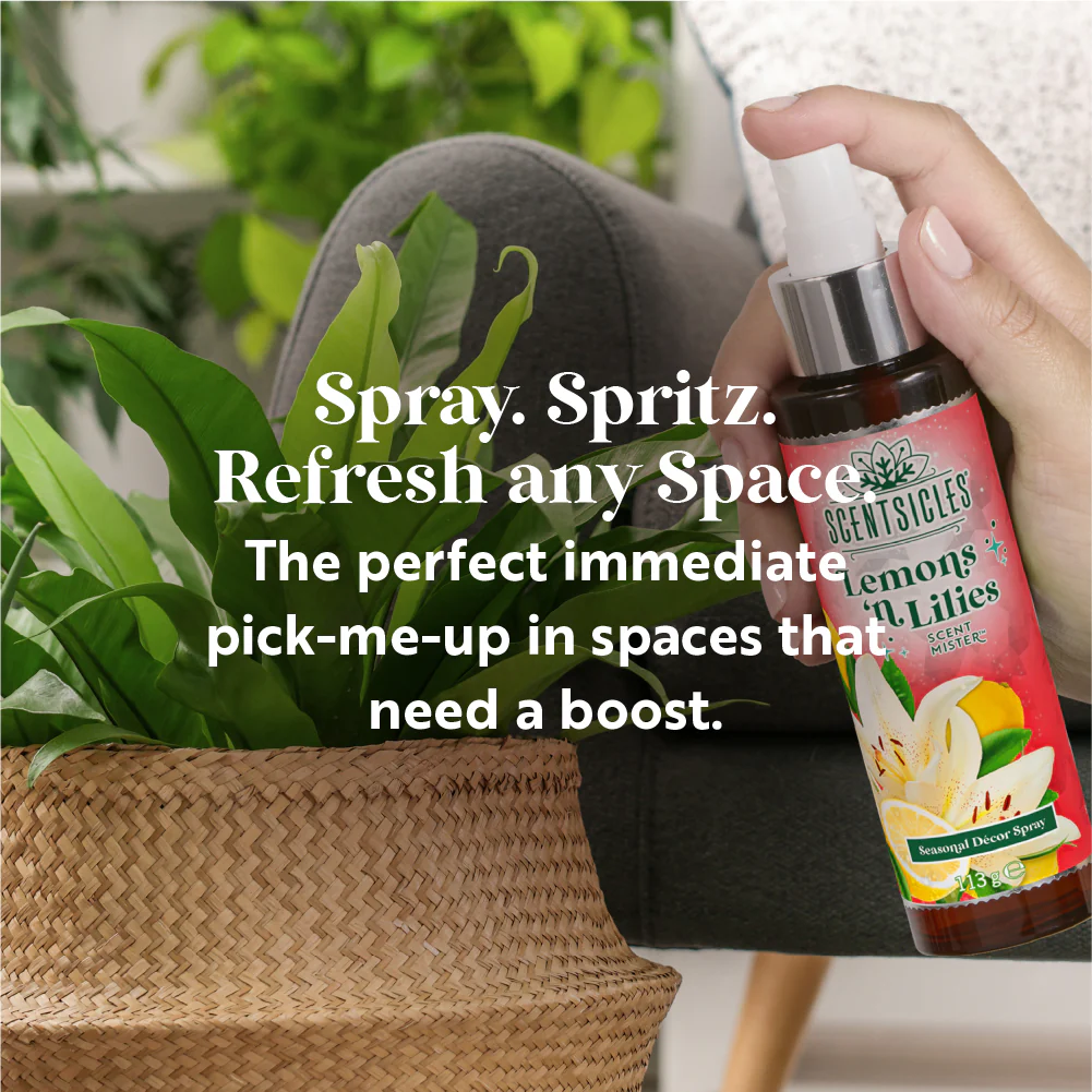 Scentsicles, Scent Mister, Lemon 'n Lilies- 2 pack - Image 3
